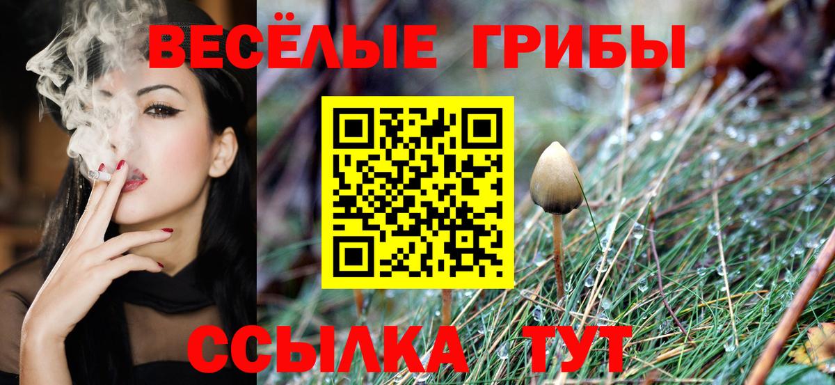 Норильск  Галлюциногенные грибы ЛСД  купить   Галлюциногенные грибы Psilocybine cubensis  Вход с VPN 
