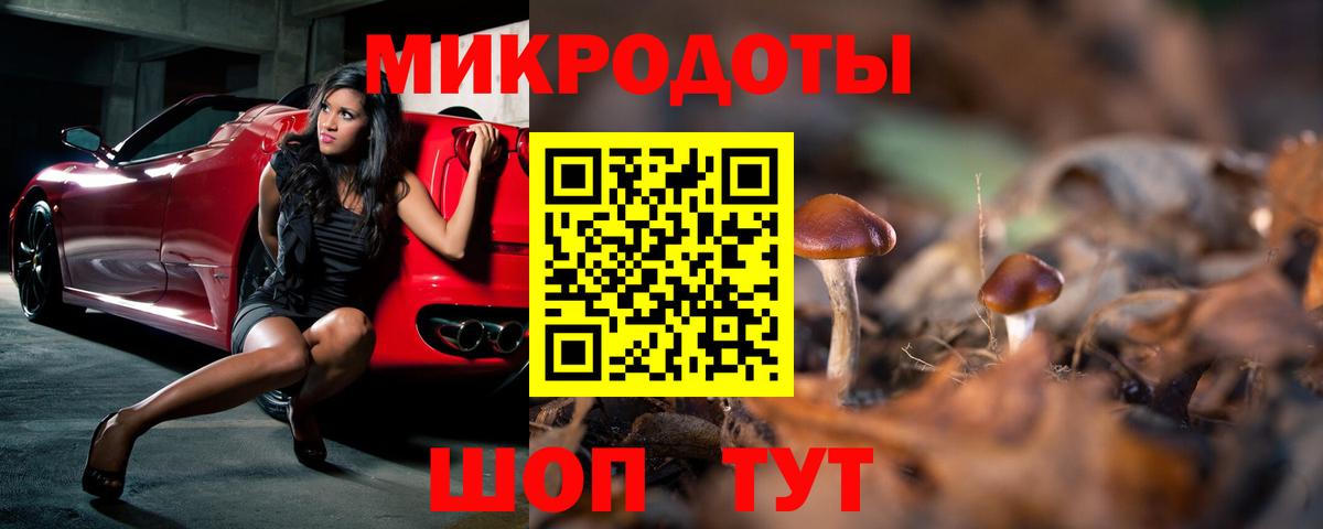 Галлюциногенные грибы Cubensis Норильск